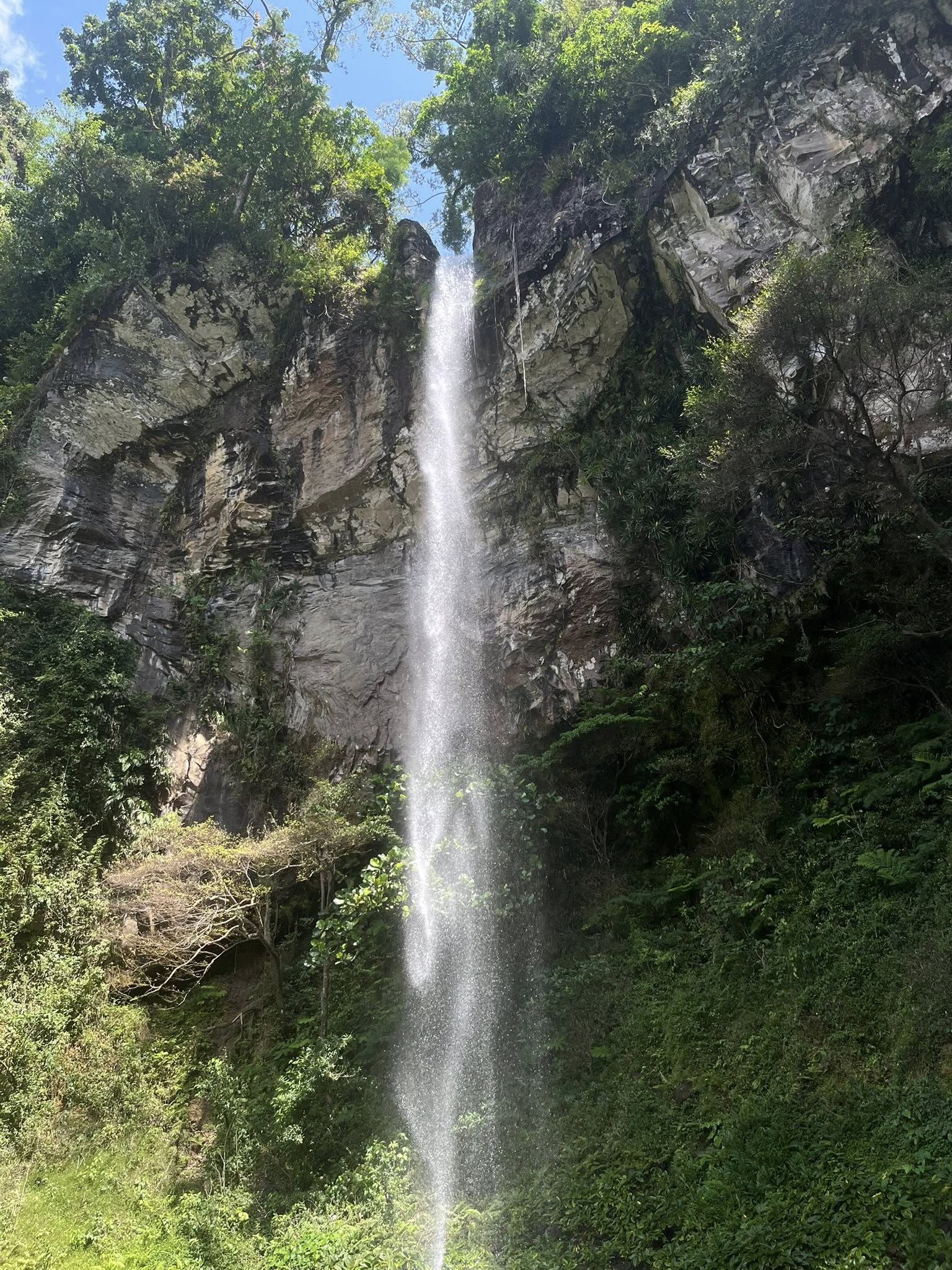 albay_verafalls gallery image 5